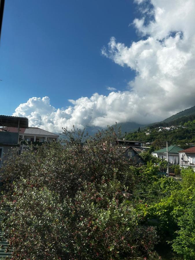 Na Shapsug Guest House Gagra Exterior photo