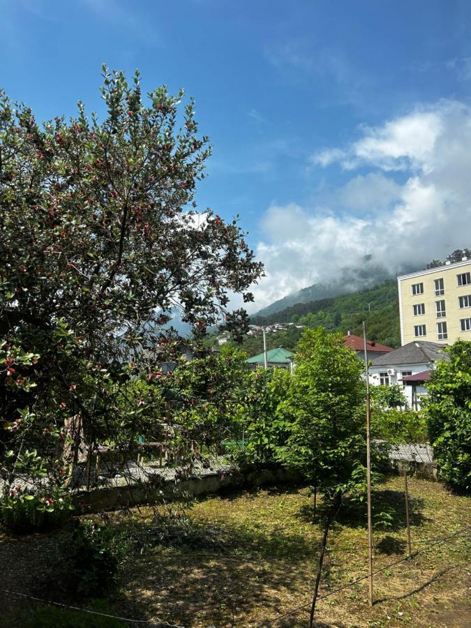Na Shapsug Guest House Gagra Exterior photo